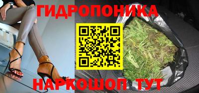 гидра Бийск