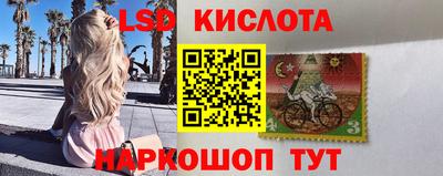 гидра Бийск