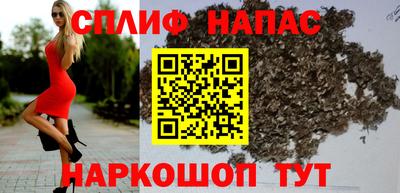 крисы Беслан