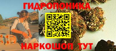 гидра Бийск